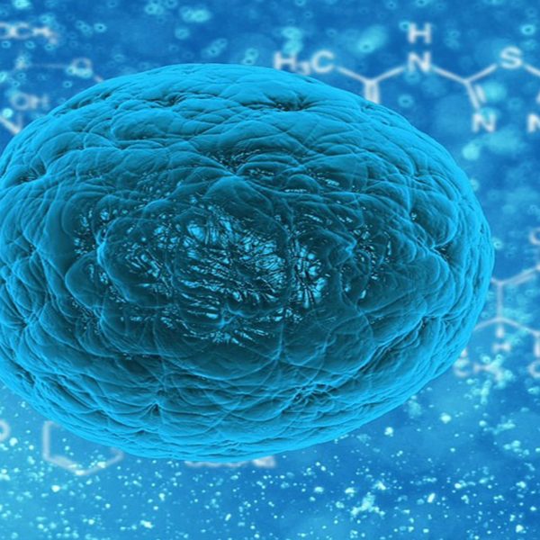 candidiasis y hiperhidrosis